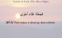 Surah Al Alaa